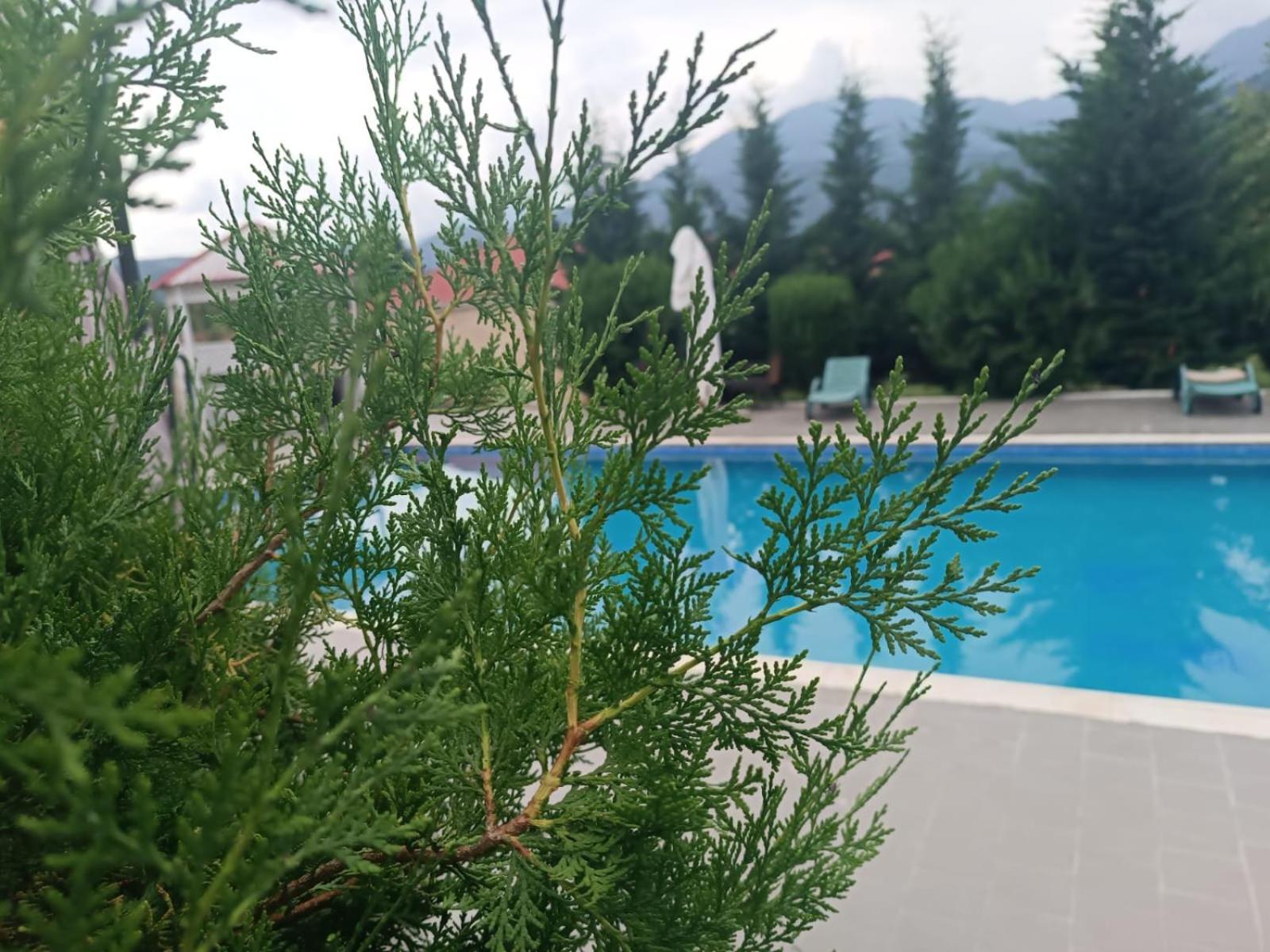 Gabala Bliss Inn Hotel And Restaurant 외부 사진