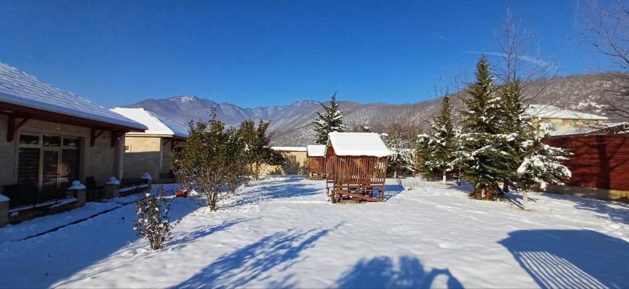 Gabala Bliss Inn Hotel And Restaurant 외부 사진